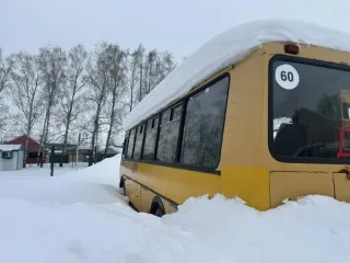 ПАЗ 423470 2011 года выпуска, автобус для перевозки детей. VIN: Х1М4234KVB0000933. Цвет кузова желтый. Объем двигателя 4750. ПТС оригинал.