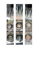 Автозапчасти военные. Высвобождаемое движимое военное имущество в виде автозапчастей согласно распоряжения ГУСПа от 14 августа 2025 года № 147-р.