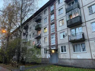 Квартира 46,1 кв.м, 2 комнаты, пр-кт Северный, дом 91, корпус 5, литер А, кв. 56, Санкт-Петербург, кадастровый номер: 78:10:0005217:12297