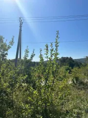 Аренда земельного участка 15000 кв. м Краснодарский край пгт. Ильском кадастровый номер 23:26:0502043:374