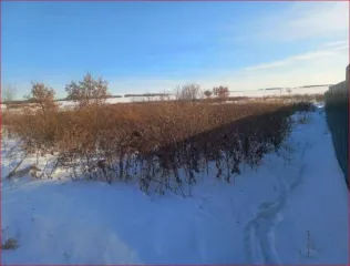 Земельный участок, 2500 кв.м, Челябинская область, Аргаяшский район, п. Комсомольский, ул. Степная, д. 34, категория земель: Земли населенных пунктов, разрешенное использование: для индивидуального жилищного строительства, кадастровый номер: 74:02:1104001:147, Ограничения прав на земельный участок…