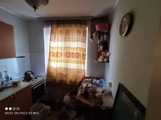 1/2 доли квартиры, 30.6 м², г. Орел, Орловская область. Жилое помещение, кадастровый номер 57:25:0030404:499, местонахождение: Орловская обл., г. Орел, ул. Советская, д. 75, кв. 17, площадь: 30.6, вид права, доля в праве: общая долевая собственность ½