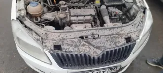 Skoda Fabia 2012, хэтчбек, категория В, белый, VIN XW8EH15JXDK552738. Ознакомление по договоренности с финансовым управляющим по тел. 89636886316 или эл. почте ponomarenko_alexander@mail.ru.