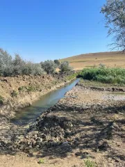 ГТС, грунтовая плотина, 312 кв.м, Ставропольский край. Кадастровый номер 26:06:170804:3. Местонахождение: Российская Федерация, Ставропольский край, Изобильненский район, расположенное в 1,1 км. СВ х.Беляев. Вид ограничений и обременений: не имеется. Назначение сооружения: ГТС. Общая площадь: 312…