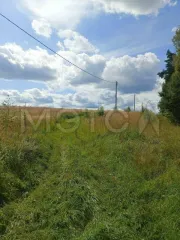 Земельный участок площадью 1025 кв.м с кадастровым номером 40:13:050115:328. Вид права — собственность. Адрес: Калужская область, Малоярославецкий район, село Госсортоучасток. Основание государственной регистрации: договор купли-продажи от 11.09.2024 г.