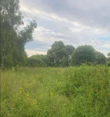 Земельный участок 550 кв.м для садоводства, Московская область, Талдомский район, СНТ "Чистые пруды" юго-восточнее деревни Доброволец, участок 6 (не замежеван). Кадастровый номер 50:01:0060119:7. Собственность.