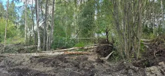 Земельный участок 23453 м², КН 50:17:0011602:484, вид 6.0, Московская область. Площадь земельного участка: 23453. Кадастровый номер земельного участка: 50:17:0011602:484. Основной вид разрешенного использования: 6.0.