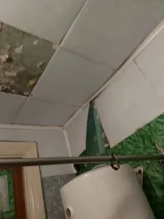 Жилой дом 43,5 кв.м. в Приморском крае, назначение: жилое, адрес (местонахождение): Россия, край Приморский, р-н Кавалеровский, п Рудный, ул Партизанская, дом 52, квартира 10, кадастровый (условный) номер: 25:04:110019:133 Находится в долевой собственности, размер доли: 1/7