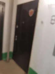 Жилое помещение, площадью 33,1 кв.м. с кадастровым номером 74:36:0213006:2452, расположенному по адресу: Челябинская область, г Челябинск, ул Марченко, д 37, кв 69, вид права: общая долевая собственность, доля в праве 1/4