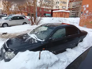 Kia Spectra 2006 года, VIN: XWKFB227260015331, госномер У764ТС43.