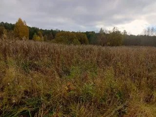 Земельный участок 3 га, Новгородская область. Земельный участок площадью 30000 ± 121 кв. м, кадастровый номер 53:18:0081801:21, категория земель - земли сельскохозяйственного назначения, вид разрешенного использования - для ведения личного подсобного хозяйства. Местонахождение: Новгородская обл…