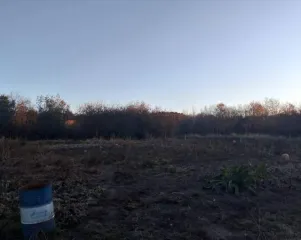 Доля в жилом доме 59.6 кв.м. с участком, Амурская область. 1/5 доли в праве общей долевой собственности на жилой дом, кадастровый номер: 28:15:010805:1124, адрес: Амурская область, Константиновский район, Ключевской сельсовет, село Ключи, улица Кировская, дом 83, площадь 59.6 кв.м., назначение…