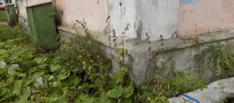 Жилое помещение, 61,2 кв.м, Республика Карелия, Сегежский р-н, пгт Надвоицы <p>жилое помещение, площадью 61,2 кв.м., расположенное по адресу: Республика Карелия, р-н. Сегежский, пгт. Надвоицы, ул. Строителей, д. 6, кв. 2, кадастровый номер 10:06:0000000:11762.</p>