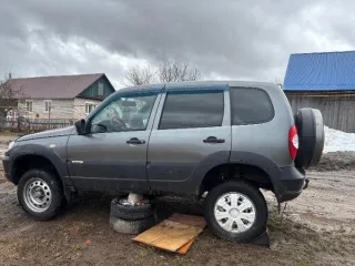 Chevrolet Niva 212300-55 2016 Легковой автомобиль марки Chevrolet Niva 212300-55, 2016 г.в., г/н С123ТМ43, цвет темно-серый металлик, VIN X9L212300H0614195. Легковой автомобиль марки Chevrolet Niva 212300-55, 2016 г.в., г/н С123ТМ43, цвет темно-серый металлик, VIN X9L212300H0614195, с одним…