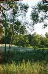 Земельный участок 1833 кв.м в Пензенской области, Кузнецкий район, село Радищево, улица Радищева, дом 16. Площадь: 1833 кв.м. Категория земель: земли населенных пунктов. Разрешенное использование: для ведения личного подсобного хозяйства. Кадастровый номер: 58:14:0000000:194.