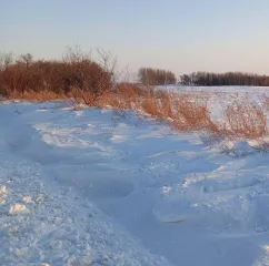 Земельный участок 2758 кв.м, Амурская область, расположенный по адресу: Амурская область, Ромненский район, с. Дальневосточное, с кадастровым номером 28:20:012206:81