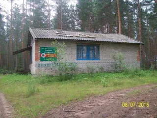 Нежилое здание кардон 57,2 кв.м и земельный участок 3953 кв.м, Новгородская область, м.о. Хвойнинский, д. Миголощи. Нежилое здание (кардон), площадь 57,2 кв. м, кадастровый номер 53:18:0000000:660, расположенное по адресу: Новгородская область, Хвойнинский муниципальный округ, деревня Миголощи…