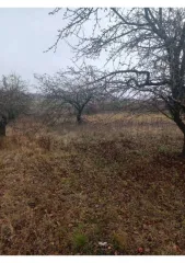 Земельный участок площадью 600 кв.м, расположенный по адресу: Курская область, Курский район, Полевской сельсовет, ул. Набережная, д. 143. Кадастровый номер: 46:11:150206:648. В Едином государственном реестре недвижимости отсутствуют сведения о местоположении границ земельного участка. Регистрация…