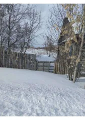 Дом 41,3 кв.м. и земельный участок 2400 кв.м. в Курганской области. Жилое здание, площадь: 41,3кв.м., кадастровый номер: 45:20:021002:70 и земельный участок, площадь: 2 400кв.м., категория земель: Земли населенных пунктов, разрешенное использование: для личного подсобного хозяйства, кадастровый…