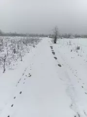 Земельный участок, площадь: 75697 +/- 96,3 кв.м., категория земель: земли населенных пунктов, вид разрешенного использования: для размещения и эксплуатации производственных объектов, КН 23:39:0705001:1300
Расположенный по адресу: Местоположение установлено относительно ориентира, расположенного в…