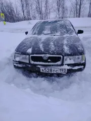 Škoda Octavia Tour, 2008. Легковой автомобиль Škoda Octavia Tour, vin XW8DX41U28K009034, 2008 г.в. Справки о порядке оформления участия в торгах, регламенте проведения торгов, ознакомления с проектом договора купли-продажи имущества, осуществляются по следующим контактам: тел. +7(999)696-02-73…