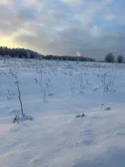 Земельный участок 1200 кв.м в Московской области, Сергиево-Посадский район, в районе деревни Новоселки, северо-восточная часть кадастрового квартала 50:05:0020237.