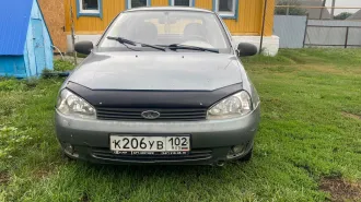 ВАЗ Калина 2008 года, модель Kalina. VIN: XTA11183080169569.