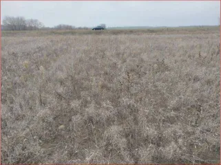 Земельный участок площадью 127 000 кв.м в Волгоградской области, Серафимовичский район, на территории администрации Теркинского сельского поселения, на поле № 30, участок № 2. Кадастровый номер: 34:27:090013:1790. Категория земель: земли сельскохозяйственного назначения. Вид разрешенного…