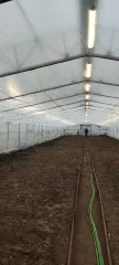 Земельный участок пл. 11435 кв.м., земли с/х назначения, для ведения крестьянского (фермерского) хозяйства; кад. № 47:07:0953003:486, Ленинградская обл., Всеволожский МР, Рахьинское ГП, а также имущество, расположенное на земельном участке: 
Теплица (металлический каркас тепличного комплекса 70 м…