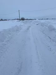 Земельный участок, кадастровый номер: 74:12:1205004:718, площадь: 1000 +/- 11 кв.м.
Ограничение права и обременение объекта недвижимости: ипотека
Залогодержателем является ПАО Сбербанк