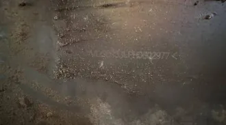 Фронтальный погрузчик SDLG (SDLG) LG933L, 2018, VIN VLG0933LPH0602977, гос.рег.знак 38AB1563, тип грузовой, модель LG933L, рабочий объем двигателя 6750 куб.см, мощность 125 л.с.