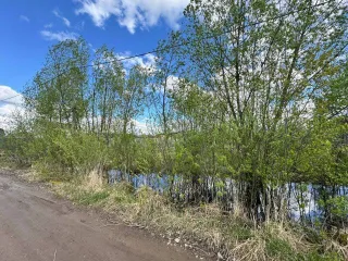 Земельный участок 1100 кв.м., Московская область, Ногинский район, д. Следово, кадастровый номер 50:16:0203022:112, площадь 1100, виды разрешенного использования объекта недвижимости: малоэтажная жилая застройка. На участке коммуникаций нет, электричество по границе участка.