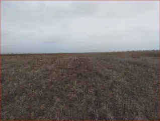 Земельный участок площадью 127 000 кв.м в Волгоградской области, Серафимовичский район, на территории администрации Теркинского сельского поселения, на поле № 30, участок № 2. Кадастровый номер: 34:27:090013:1790. Категория земель: земли сельскохозяйственного назначения. Вид разрешенного…