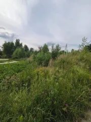 1/4 доля земельного участка в Московской обл. еще ¼ земельного участка, расположенного по адресу: 143103, Московская область, р н. Одинцовский, д. Болтино, 16, площадью 1000 кв.м. Кадастровый номер: 50:20:0100912:932.