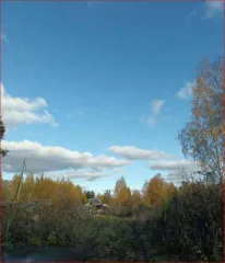 Земельный участок площадью 5178 кв.м. Адрес: Свердловская обл, г. Новоуральск, ул. Шевченко, дом 24. Категория земель: земли населенных пунктов. Разрешенное использование: для эксплуатации теплиц. Кадастровый номер: 66:57:0101008:147. Обременение: сервитут № 66-66-31/042/2006-001/1 от 30.03.2015.