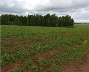 Доля в праве на земельный участок общей площадью 1 014 385 кв. м, кадастровый номер: 18:22:003001:435, расположенный по адресу: Удмуртская Республика, Шарканский район, МО "Сюрсовайское", юго-восточнее с. Сюрсовай. Категория земель: земли сельскохозяйственного назначения. Вид разрешенного…