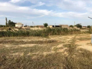 земельный участок, площадь 717 +/  9 кв.м., кадастровый  условный  номер: 05:50:000003:687 земельный участок, площадь 717 +/  9 кв.м., кадастровый  условный  номер: 05:50:000003:687, республика дагестан, р н кумторкалинский, с.темиргое, ул алиева. площадь: 717 +/  9. виды разрешенного использования…