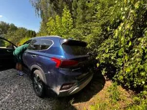 Hyundai Santa Fe 2019 г.в., VIN: XWES381DDL0003277.