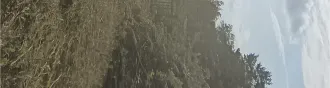 Земельный участок с кадастровым номером 72:01:0104001:594, площадью 493 +/  16 кв. м, расположенный по адресу: Тюменская область, Абатский район, территория СНТ «Строитель», ул. № 7, участок 18, с расположенным на нем кирпичным строением  дачный дом  площадью 16 кв. м. Земельный участок с…