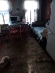 Дом 64 кв.м, участок 3700 кв.м, Волгоградская обл. Жилое здание, площадь: 64кв.м., кадастровый номер: 34:16:100007:152, и земельный участок, площадь: 3700 кв.м., категория земель: Земли населенных пунктов, разрешенное использование: для ведения личного подсобного хозяйства, кадастровый номер…