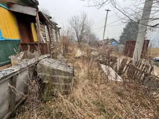 Требование к ООО "Ромашка" 1,5 млн руб