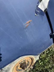 ВАЗ 21113 2002 года выпуска, VIN XTА21113020123293. Транспортные средства марок Toyota Sprinter (подлежит реализации как годные остатки); УАЗ-39094; Toyota Sprinter с госномером В123 АХ04; ВАЗ 21113; ГАЗ-3110; мотоцикл Racer RC-110; ВАЗ 21213; Mitsubishi Lancer; Nissan Sunny; ВАЗ 21099; мотоцикл…