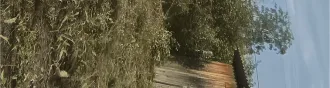 Земельный участок с кадастровым номером 72:01:0104001:594, площадью 493 +/  16 кв. м, расположенный по адресу: Тюменская область, Абатский район, территория СНТ «Строитель», ул. № 7, участок 18, с расположенным на нем кирпичным строением  дачный дом  площадью 16 кв. м. Земельный участок с…