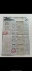 Audi A4 2014, автомобиль марки AUDI модель А4 2014 г.в., VIN номер WAUZZZ8KXFN013418. Ознакомление с имуществом осуществляется по рабочим дням в период представления заявок на участие в торгах по предварительному согласованию. Предварительная запись по телефону +79162605968 или по адресу…