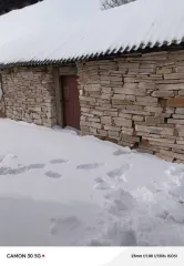 Жилой дом и земельные участки по адресу: Оренбургская область, Шарлыкский район, село Ратчино, улица Советская, дом 33. Площадь дома 36.2 кв. м. Площадь первого земельного участка 1154 кв. м, площадь второго земельного участка 1601 кв. м. Общая площадь земельных участков 2755 кв. м. Вид…