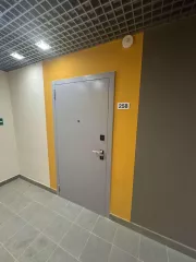 Квартира, площадью 33,4 кв.м., кадастровый номер 77:22:0020330:2124 
Расположенная по адресу: Российская Федерация, г. Москва, вн.тер.г.поселение Краснопахорское, деревня Раево, улица Ирландская, дом 4, корпус 2, квартира 258 
Залог в пользу ПАО АКБ "МЕТАЛЛИНВЕСТБАНК" ИНН: 7709138570