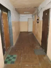 Доля 1/3 в комнате 18,2 м² по адресу: Россия, Республика Коми, г. Сыктывкар, пгт. Краснозатонский, ул. Ломоносова, дом 50, комната 125, кадастровый номер: 11:05:0401011:1118. В ЕГРН имеется непогашенная ипотека в пользу физического лица; возможна регистрация несовершеннолетних.