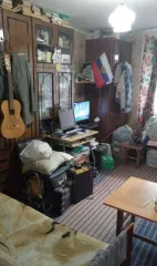 1/6 и 1/6 доли квартиры, 48,7 кв.м, Оренбург, ул. Туркестанская 1/6 доля квартиры в Оренбурге еще 1/6 доля квартиры в Оренбурге еще 1/6 доли в праве на жилое помещение, общей площадью 48,7 кв.м., с кадастровым номером 56:44:0223001:1317, находящаяся по адресу: г. Оренбург, ул Туркестанская, д…