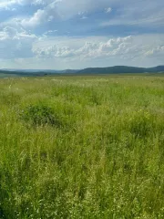 Земельный участок для ведения личного подсобного хозяйства. Кадастровый номер: 02:18:150201:31. Местоположение установлено относительно ориентира, расположенного в границах участка. Почтовый адрес ориентира: Республика Башкортостан, р-н. Бурзянский, с/с. Кулганинский, д. Саргая, ул. Башарт, д. 3…