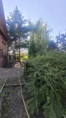 Земельный участок 2000 кв.м, жилые дома 53,4 кв.м и 285,5 кв.м, Орловская обл. 1. Земельный участок, категория земель: земли населенных пунктов, разрешенное использование: для ведения личного подсобного хозяйства, площадь 2 000 кв.м, адрес: Орловская область, Орловский район, д. Кондырева, пер…